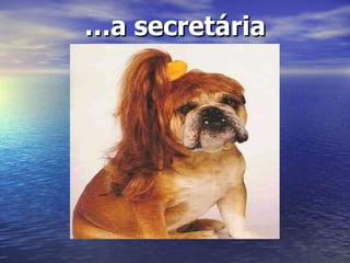 … a secretária   