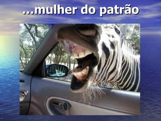 … mulher do patrão   