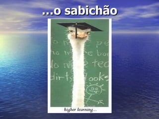 … o sabichão 