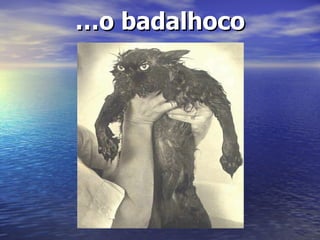 … o badalhoco 