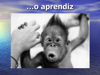 … o aprendiz 