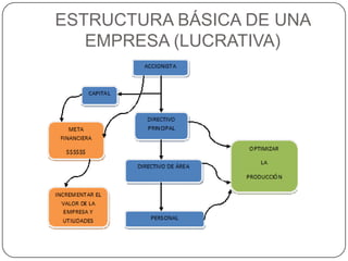 ESTRUCTURA BÁSICA DE UNA EMPRESA (LUCRATIVA)