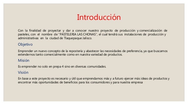 Guia Para Redactar La Introduccion De Un Proyecto