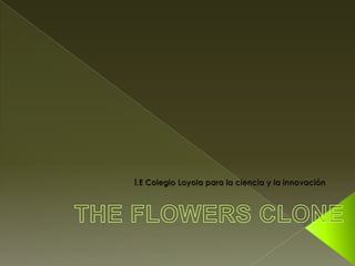 I.E Colegio Loyola para la ciencia y la innovación THE FLOWERS CLONE 