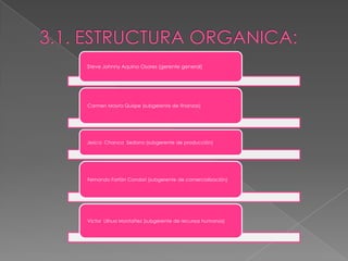 3.1. ESTRUCTURA ORGANICA: