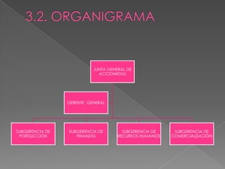 3.2. ORGANIGRAMA