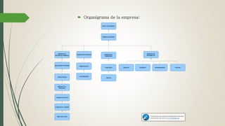  Organigrama de la empresa:
 