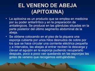 EL VENENO DE ABEJA (APITOXINA) La apitoxina es un producto que se emplea en medicina por su poder antiartrítico y en la preparación de antialérgicos. Se produce en las glándulas situadas en la parte posterior del último segmento abdominal de la abeja.  Se obtiene colocando en el piso de la piquera una esponja cubierta por unos hilos desnudos de cobre por los que se hace circular una corriente eléctrica pequeña y a intervalos, las abejas al entrar reciben la descarga y clavan el aguijón en la esponja pudiendo recuperarlo después, poco a poco van quedando en las esponjas las gotas de veneno que recogemos estrujándolas. 