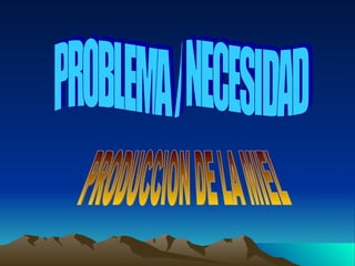 PROBLEMA / NECESIDAD PRODUCCION DE LA MIEL 