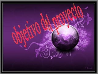 objetivo del proyecto 