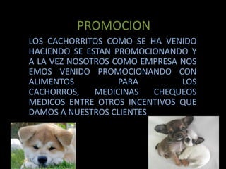 PROMOCIONLOS CACHORRITOS COMO SE HA VENIDO HACIENDO SE ESTAN PROMOCIONANDO Y A LA VEZ NOSOTROS COMO EMPRESA NOS EMOS VENIDO PROMOCIONANDO CON ALIMENTOS PARA LOS CACHORROS, MEDICINAS CHEQUEOS MEDICOS ENTRE OTROS INCENTIVOS QUE DAMOS A NUESTROS CLIENTES