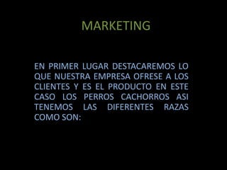 MARKETINGEN PRIMER LUGAR DESTACAREMOS LO QUE NUESTRA EMPRESA OFRESE A LOS CLIENTES Y ES EL PRODUCTO EN ESTE CASO LOS PERROS CACHORROS ASI TENEMOS LAS DIFERENTES RAZAS COMO SON: