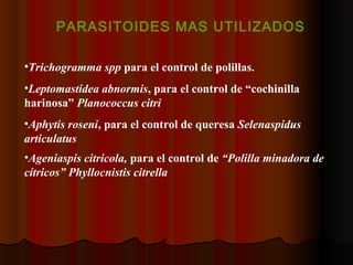 PARASITOIDES MAS UTILIZADOS
•Trichogramma spp para el control de polillas.
•Leptomastidea abnormis, para el control de “co...