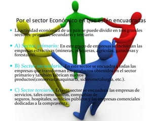 Por el sector Económico en que estén encuadradas
 La actividad económica de un país se puede dividir en tres grandes
  sectores: primario, secundario y terciario.

 A) Sector primario: En este grupo de empresas se incluirían las
  empresas extractivas (mineras, pesqueras, agrícolas, ganaderas y
  forestales).

 B) Sector secundario: En este sector se encuadra a todas las
  empresas que transforman los productos obtenidos en el sector
  primario y también fabrican nuevos
  productos(conservas,maquinaria, siderometalurgia, etc.).

 C) Sector terciario: En este sector se encuadran las empresas de
  servicios, tales como bancos, compañías de
  seguros, hospitales, servicios públicos y las empresas comerciales
  dedicadas a la compraventa.
 