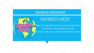 MUNDO MOLY
DIRECCION ESTRATEGICO Y MAPA DE PROCESOS
CD ESPITIA LUNA FERNANDO JOSE
ESCUELA NAVAL DE CADETES ALMIRANTE PADILLA
SISTEMAS INTEGRADOS
 