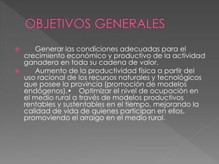  Generar las condiciones adecuadas para el
crecimiento económico y productivo de la actividad
ganadera en toda su cadena de valor.
 Aumento de la productividad física a partir del
uso racional de los recursos naturales y tecnológicos
que posee la provincia (promoción de modelos
endógenos).• Optimizar el nivel de ocupación en
el medio rural a través de modelos productivos
rentables y sustentables en el tiempo, mejorando la
calidad de vida de quienes participan en ellos,
promoviendo el arraigo en el medio rural.
 