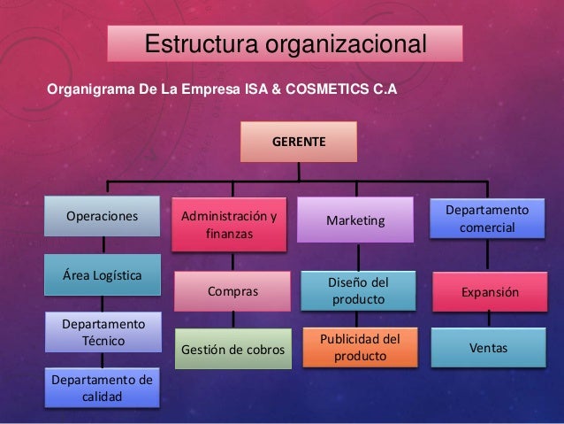 Organigrama De Una Empresa De Maquillaje