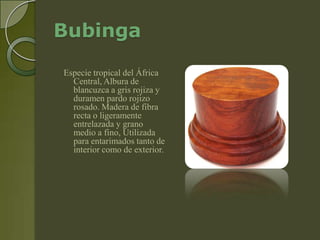 Bubinga

Especie tropical del África
  Central, Albura de
  blancuzca a gris rojiza y
  duramen pardo rojizo
  rosado. Madera de fibra
  recta o ligeramente
  entrelazada y grano
  medio a fino, Utilizada
  para entarimados tanto de
  interior como de exterior.
 