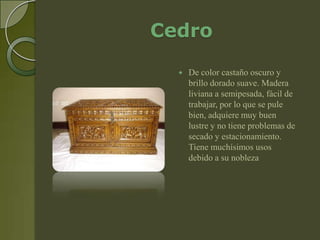 Cedro
     De color castaño oscuro y
      brillo dorado suave. Madera
      liviana a semipesada, fácil de
      trabajar, por lo que se pule
      bien, adquiere muy buen
      lustre y no tiene problemas de
      secado y estacionamiento.
      Tiene muchísimos usos
      debido a su nobleza
 