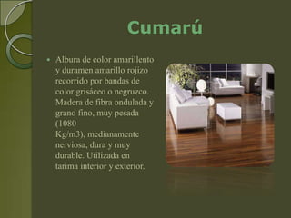 Cumarú
   Albura de color amarillento
    y duramen amarillo rojizo
    recorrido por bandas de
    color grisáceo o negruzco.
    Madera de fibra ondulada y
    grano fino, muy pesada
    (1080
    Kg/m3), medianamente
    nerviosa, dura y muy
    durable. Utilizada en
    tarima interior y exterior.
 