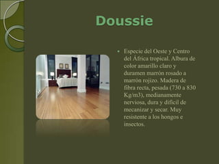 Doussie

     Especie del Oeste y Centro
      del África tropical. Albura de
      color amarillo claro y
      duramen marrón rosado a
      marrón rojizo. Madera de
      fibra recta, pesada (730 a 830
      Kg/m3), medianamente
      nerviosa, dura y difícil de
      mecanizar y secar. Muy
      resistente a los hongos e
      insectos.
 