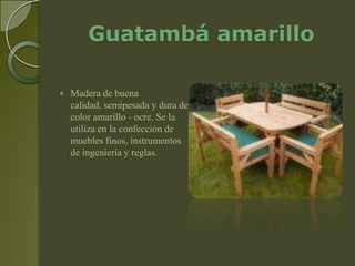 Guatambá amarillo

   Madera de buena
    calidad, semipesada y dura de
    color amarillo - ocre. Se la
    utiliza en la confección de
    muebles finos, instrumentos
    de ingeniería y reglas.
 