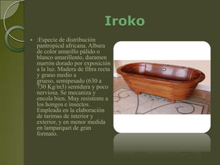 Iroko
   :Especie de distribución
    pantropical africana. Albura
    de color amarillo pálido o
    blanco amarillento, duramen
    marrón dorado por exposición
    a la luz. Madera de fibra recta
    y grano medio a
    grueso, semipesado (630 a
    730 Kg/m3) semidura y poco
    nerviosa. Se mecaniza y
    encola bien. Muy resistente a
    los hongos e insectos.
    Empleada en la elaboración
    de tarimas de interior y
    exterior, y en menor medida
    en lamparquet de gran
    formato.
 