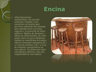 Encina
   árbol típicamente
    mediterráneo, de mercado
    asimismo irregular, cuyo
    suministro en nuestro país
    proviene sobretodo del arranque
    para repoblaciones con otras
    especies y la ejecución de obras
    públicas. Madera de duramen y
    albura no diferenciados, de color
    pardo rojizo en cuyos despieces
    radiales se manifiestan los radios
    leñosos formando espejuelos de 1
    a 3 mm de anchura y de 1 a 4 cm
    de longitud, característicos de
    esta especie. No deben por tanto
    considerarse defectos, sino una
    singularidad de esta madera.
 