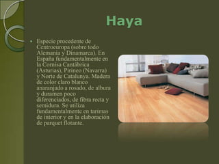 Haya
   Especie procedente de
    Centroeuropa (sobre todo
    Alemania y Dinamarca). En
    España fundamentalmente en
    la Cornisa Cantábrica
    (Asturias), Pirineo (Navarra)
    y Norte de Catalunya. Madera
    de color claro blanco
    anaranjado a rosado, de albura
    y duramen poco
    diferenciados, de fibra recta y
    semidura. Se utiliza
    fundamentalmente en tarimas
    de interior y en la elaboración
    de parquet flotante.
 