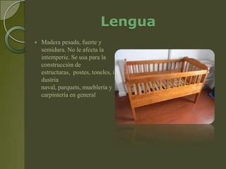 Lengua
   Madera pesada, fuerte y
    semidura. No le afecta la
    intemperie. Se usa para la
    construcción de
    estructuras, postes, toneles, in
    dustria
    naval, parquets, mueblería y
    carpintería en general
 