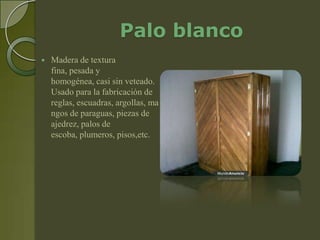 Palo blanco
   Madera de textura
    fina, pesada y
    homogénea, casi sin veteado.
    Usado para la fabricación de
    reglas, escuadras, argollas, ma
    ngos de paraguas, piezas de
    ajedrez, palos de
    escoba, plumeros, pisos,etc.
 