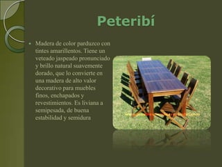 Peteribí
   Madera de color parduzco con
    tintes amarillentos. Tiene un
    veteado jaspeado pronunciado
    y brillo natural suavemente
    dorado, que lo convierte en
    una madera de alto valor
    decorativo para muebles
    finos, enchapados y
    revestimientos. Es liviana a
    semipesada, de buena
    estabilidad y semidura
 