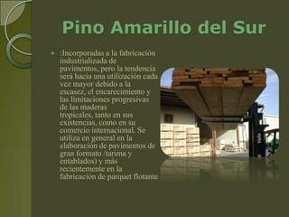 Pino Amarillo del Sur
   :Incorporadas a la fabricación
    industrializada de
    pavimentos, pero la tendencia
    será hacia una utilización cada
    vez mayor debido a la
    escasez, el encarecimiento y
    las limitaciones progresivas
    de las maderas
    tropicales, tanto en sus
    existencias, como en su
    comercio internacional. Se
    utiliza en general en la
    elaboración de pavimentos de
    gran formato /tarima y
    entablados) y más
    recientemente en la
    fabricación de parquet flotante
 