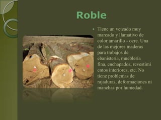 Roble
     Tiene un veteado muy
      marcado y llamativo de
      color amarillo - ocre. Una
      de las mejores maderas
      para trabajos de
      ebanistería, mueblería
      fina, enchapados, revestimi
      entos interiores, etc. No
      tiene problemas de
      rajaduras, deformaciones ni
      manchas por humedad.
 