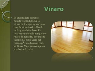 Viraro
   Es una madera bastante
    pesada y semidura. Se la
    utiliza en trabajos de curvado
    para fabricación de sillas de
    estilo y muebles finos. Es
    resistente y durable aunque no
    resiste la humedad por mucho
    tiempo. Su color varía del
    rosado pÃ¡lido hasta el rojo-
    violáceo. Muy usado en pisos
    y trabajos de tallas .
 