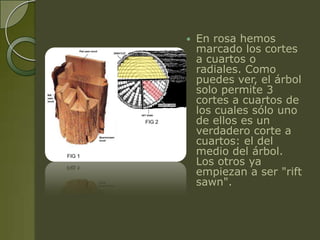    En rosa hemos
    marcado los cortes
    a cuartos o
    radiales. Como
    puedes ver, el árbol
    solo permite 3
    cortes a cuartos de
    los cuales sólo uno
    de ellos es un
    verdadero corte a
    cuartos: el del
    medio del árbol.
    Los otros ya
    empiezan a ser "rift
    sawn".
 