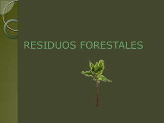 RESIDUOS FORESTALES
 