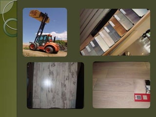 Empresa mi amigo donald