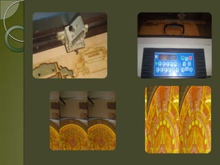 Empresa mi amigo donald