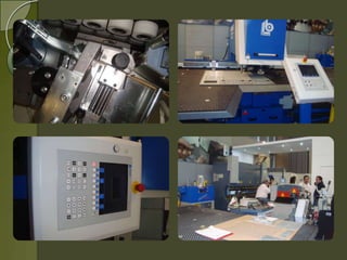 Empresa mi amigo donald