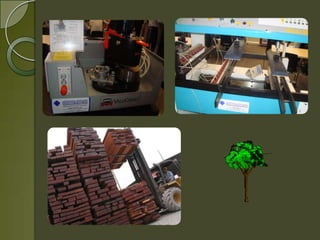 Empresa mi amigo donald