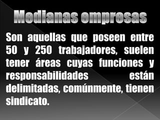 Son aquellas que poseen entre
50 y 250 trabajadores, suelen
tener áreas cuyas funciones y
responsabilidades están
delimitadas, comúnmente, tienen
sindicato.
 