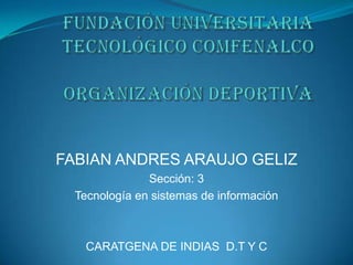 FABIAN ANDRES ARAUJO GELIZ
               Sección: 3
  Tecnología en sistemas de información



    CARATGENA DE INDIAS D.T Y C
 