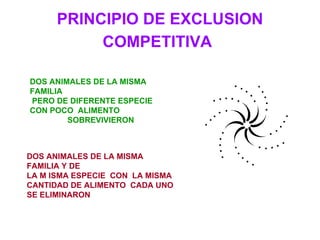 PRINCIPIO DE EXCLUSION COMPETITIVA   DOS ANIMALES DE LA MISMA FAMILIA PERO DE DIFERENTE ESPECIE CON POCO  ALIMENTO SOBREVIVIERON DOS ANIMALES DE LA MISMA  FAMILIA Y DE LA M ISMA ESPECIE  CON  LA MISMA  CANTIDAD DE ALIMENTO  CADA UNO SE ELIMINARON  
