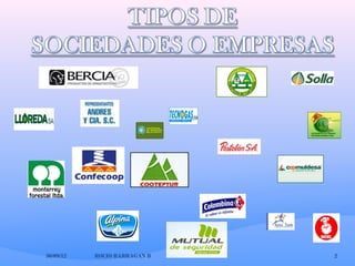 Ejemplo De Sociedad Anónima