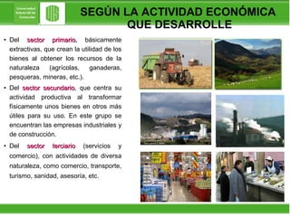 SEGÚN LA ACTIVIDAD ECONÓMICA  QUE DESARROLLE Del  sector primario ,  básicamente extractivas, que crean la utilidad de los bienes al obtener los recursos de la naturaleza (agrícolas, ganaderas, pesqueras, mineras, etc.).  Del  sector secundario , que centra su actividad productiva al transformar físicamente unos bienes en otros más útiles para su uso. En este grupo se encuentran las empresas industriales y de construcción.  Del  sector terciario  (servicios y comercio), con actividades de diversa naturaleza, como comercio, transporte, turismo, sanidad, asesoría, etc. 