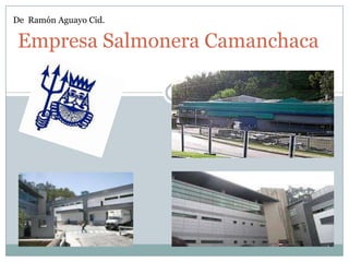 De Ramón Aguayo Cid.

 Empresa Salmonera Camanchaca
 