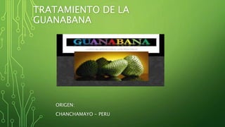 TRATAMIENTO DE LA 
GUANABANA 
ORIGEN: 
CHANCHAMAYO - PERU 
 