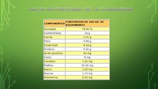 Empresas principales de exportaciones tradicionales
