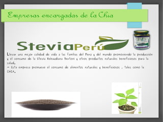 Empresas encargadas de la Chia
Llevar una mejor calidad de vida a las familias del Perú y del mundo promoviendo la producción
y el consumo de la Stevia Rebaudiana Bertoni y otros productos naturales beneficiosos para la
salud.
- Esta empresa promueve el consumo de alimentos naturales y beneficiosos , tales como la
CHIA.
 